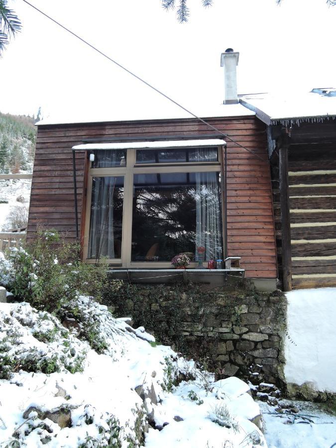 Ferienwohnung Atelier Eliska Staré Hory Exterior foto